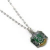 Harry Potter - Slytherin Crest - Ketting -Droomcadeauwinkel Official Harry Potter Slytherin Crest Necklace WNX0023