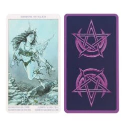 Pagan Tarot - Boek En Kaartenset -Droomcadeauwinkel TC 25891