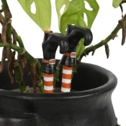 Pair Of Witch Leg Plant Pot Ornaments