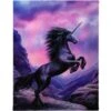 Canvas - Black Unicorn - Anne Stokes -Droomcadeauwinkel WP 54514