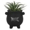 Plantenpot - Cauldron - Triple Moon -Droomcadeauwinkel a4818b7ba4aebbc2930975d4f2364511665cae76 1