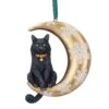 Hangend Ornament - Cat On Moon - Lisa Parker 2 Hangend Ornament - Cat On Moon - Lisa Parker -Droomcadeauwinkel b5783u1