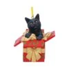Hangend Ornament - Present Cat - Lisa Parker -Droomcadeauwinkel b5784u1