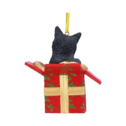 Hangend Ornament - Present Cat - Lisa Parker -Droomcadeauwinkel b5784u1 2