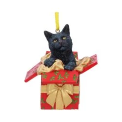 Hangend Ornament - Present Cat - Lisa Parker
