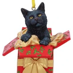 Hangend Ornament - Present Cat - Lisa Parker -Droomcadeauwinkel b5784u1 4