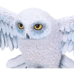 Harry Potter - Hedwig Wandornament - 45cm 13 Harry Potter - Hedwig Wandornament - 45cm -Droomcadeauwinkel b6054w2 4