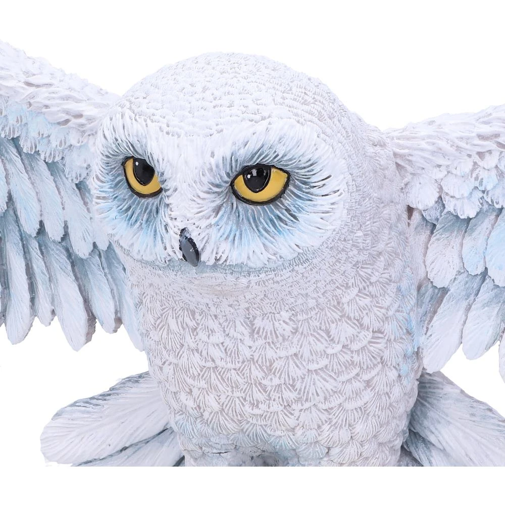 Harry Potter - Hedwig Wandornament - 45cm 7 Harry Potter - Hedwig Wandornament - 45cm - Image 5