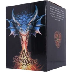 Beeld - Adult Silver Wind Dragon - Anne Stokes -Droomcadeauwinkel d4906r0 4