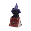 Beeld - Hocus - 12,7cm 1 Beeld - Hocus - 12,7cm -Droomcadeauwinkel u5231s0