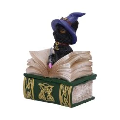 Doosje - Binx - 11cm -Droomcadeauwinkel u5282s0 1