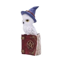 Beeld - Avian Spell - 12,5cm -Droomcadeauwinkel u5721u1 1