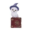 Beeld - Avian Spell - 12,5cm 2 Beeld - Avian Spell - 12,5cm -Droomcadeauwinkel u5721u1