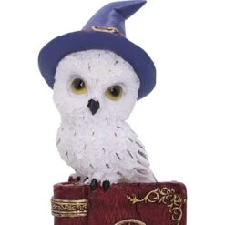 Beeld - Avian Spell - 12,5cm -Droomcadeauwinkel u5721u1 4