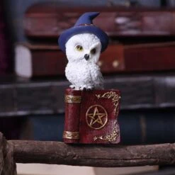 Beeld - Avian Spell - 12,5cm -Droomcadeauwinkel u5721u1 7