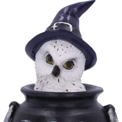 Beeld - Owl's Brew Cauldron - 10cm -Droomcadeauwinkel u5760u1 5