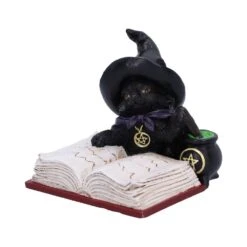 Beeld - Familiar's Brew - 8,5cm -Droomcadeauwinkel u6318x3 1