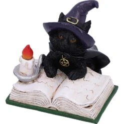 Beeld - Familiar's Spell - 8,5cm -Droomcadeauwinkel u6319x3 5
